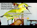 Download Lagu MASTERAN PLECI TERBARU 2023 PALING SERING DI PAKAI👍