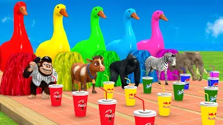 5 Giant Duck Cartoon: Cow Elephant Tiger Lion T-Rex. Paint Animals Crossing Fountain Transformation