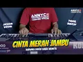 Download Lagu CINTA MERAH JAMBU KARAOKE KOPLO NADA CEWEK WANITA - VERSI KOPLO JARANAN - ANNYCO KARAOKE