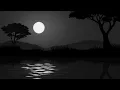 Riverside - Agnes Obel - [tradução]