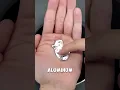 Het vreemde metaal dat aluminium in seconden laat smelten! #viralshort