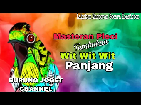 Download MP3 Masteran Pleci Malam Hari Tembakan Wit Wit Wit Panjang