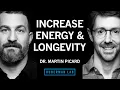 Lagu Improve Energy \u0026 Longevity by Optimizing Mitochondria | Dr. Martin Picard