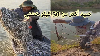 علاج الغده والمفاصل اطيب سمك سمك العراقي سمك الخشني في العراق