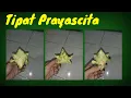 Download Lagu Tipat Prayascita