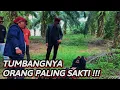 Download Lagu TERBARU BANG REY LAMPUNG HABISIN UCUP DRAGON SAMPAI SEKARATTT