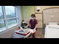 Phlebotomist A Great Career No Experience Needed