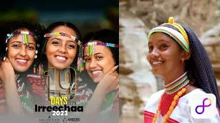 Bara Haaraa New Oromo Music 2023 Sirba Afaan Oromoo Haaraa 2023 