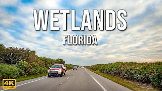 A1A Route To St Augustine Florida 4K St Augustine Wetlands Florida