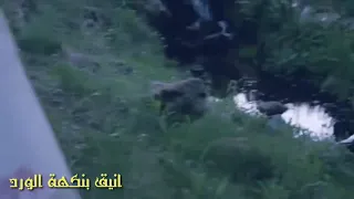 يا طالبة العلم بشرى اداء عبد الله المهداوي نشيد اكثر من روعة HD 