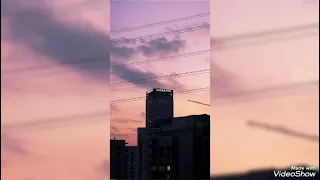  بحبك مش هقول تاني اغاني دندنها