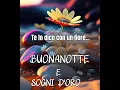 Download Lagu Buonanotte a tutti