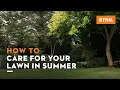 How to care for a lawn in summer STIHL Tutorial