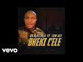 Download Lagu Dr Malinga - Bheki Cele (Official Audio) ft. Low Dee