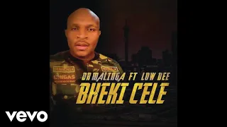 dr malinga bheki cele official audio ft low dee