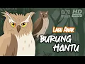 Download Lagu Lagu Anak  Burung Hantu  ♪ Lagu Anak-Anak Indonesia