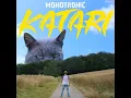Nachts sind alle Katzen grau