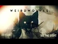 Download Lagu Weird Wolves - See The Light (Official Music Video)