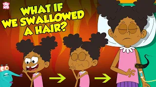 Download What If We Swallowed A Hair | Hairs In Our Stomach | The Dr Binocs Show | Peekaboo Kidz MP3
