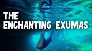 The HIGHLIGHTS and LOWLIGHTS of the EXUMAS | AHOD 87