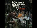 the devil - Stephen Wilson Jr.