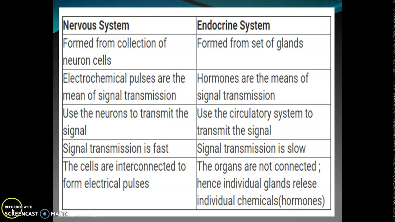 What is the Difference between Nervous System and Endocrine System