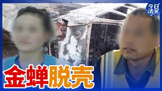 三起真实奇案！欠债老板伪造车祸烧死流浪汉骗保 传销女老总溺水假死卷款 通缉犯潜伏13年竟成了当红明星？——洗白脱罪系列案