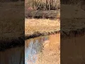 Take a breath and enjoy a perfect spring day