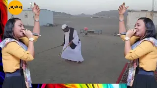 مكارم بشير      عرضه دندنها