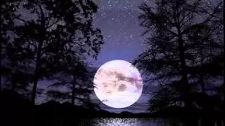 حكم المنية في البرية جاري   نايف الشرهان  دندنها