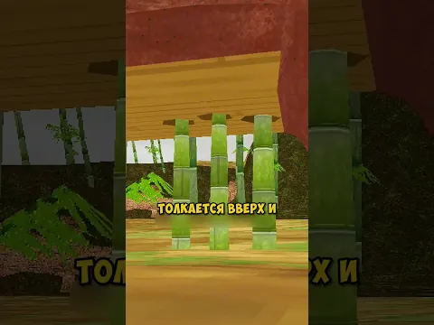Что может пробить бамбук?🎋