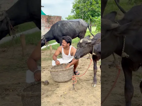 Chacha 😂 Ki Family || 😄 #shorts #comedy #kisanshorts