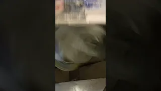 Wallpaint Lemon Saffron 7773 Wall Paint Wallpainting Wallcolorideas Newsong 