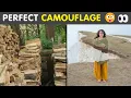 Download Lagu Things That Matched Their Surroundings So Well, People Had To Do A Double Take | Humor Sweet