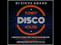 Download Lagu Funky Disco House Feb 2024