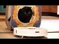 2 Cats REACT to a Robot Vacuum
