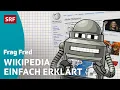 Frag Fred Wie funktioniert Wikipedia Kinder s SRF Kids