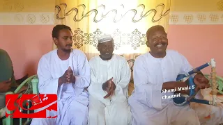 معاوية المقل حبيبي عود رائعة الهرم صديق أحمد 