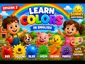 Learn Color with Sunny Farm Friends English for Kids 2