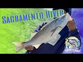 A Day Fishing at the Sacramento River