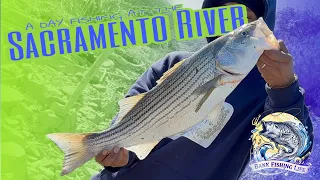 A Day Fishing at the Sacramento River