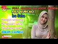 Lagu WANGSIT SILIWANGI FULL ALBUM FILY KURCACI BAJIDOR SUNDA 2025