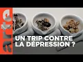 Download Lagu Les psychédéliques, des drogues qui soignent ? | Documentaire | ARTE