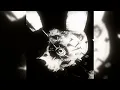 Lagu BAD HAPPENING FUNK (SLOWED)