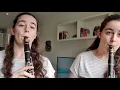Delfino Plaza - Mario Sunshine || Clarinet Cover || Composer: Koji Kondo and Shinobu Tanaka