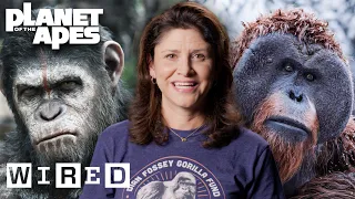 Download Every Ape in Planet of the Apes Explained | WIRED MP3