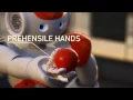 NAO Next Gen the new robot of Aldebaran Robotics