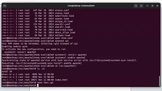Creating a Python CGI Web program