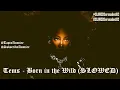 Tems - Unfortunate (SLOWED) #SLOWED #tems #borninthewild