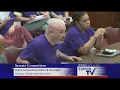 Local 580 Testimony Senate Oversight DHS